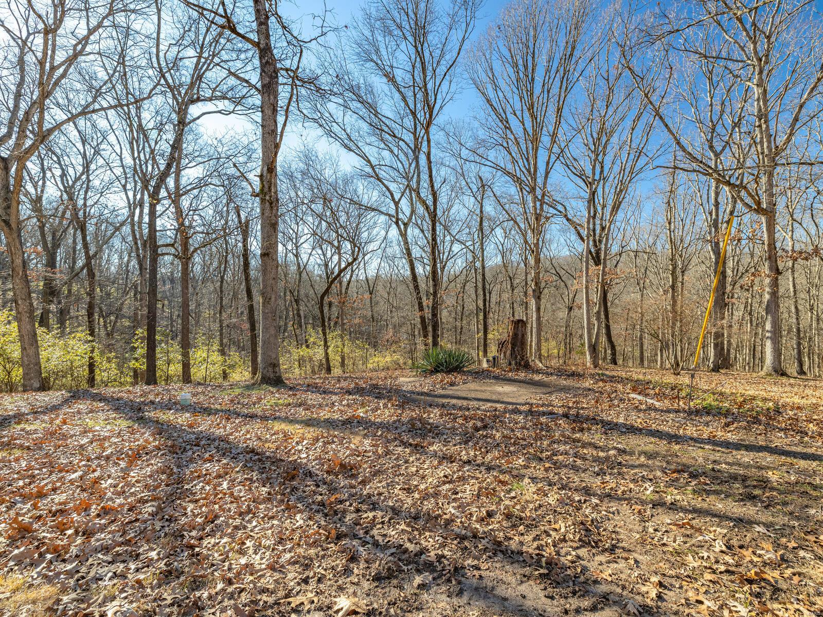 1547 Shepard Road Glencoe, MO 63038 - Photo 18 of 29
