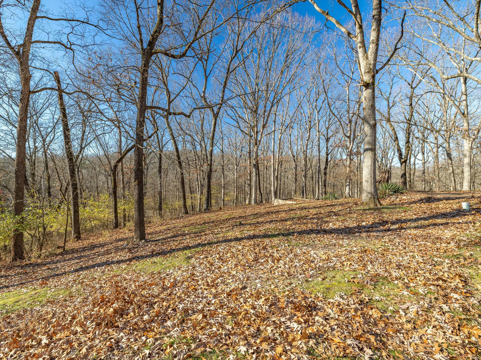 1547 Shepard Road Glencoe, MO 63038 - Photo 20 of 29