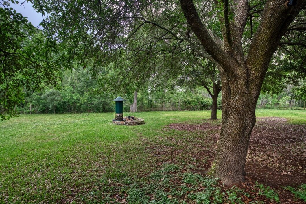 308 County Road 893B Angleton, TX 77515 - Photo 39 of 41 a view of a garden with a tree