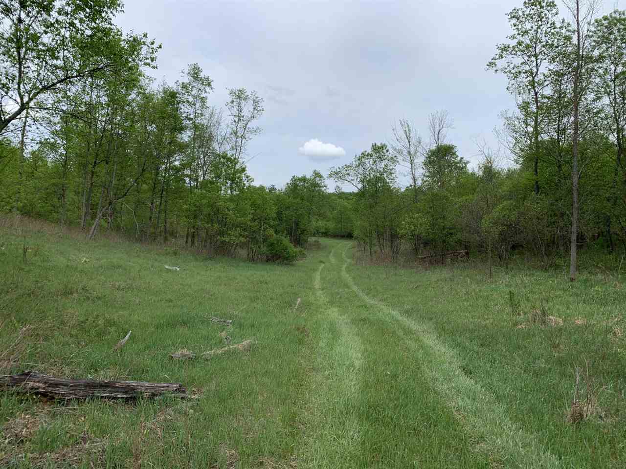 40 South 17 Road Boon, MI 49618 - Photo 3 of 33