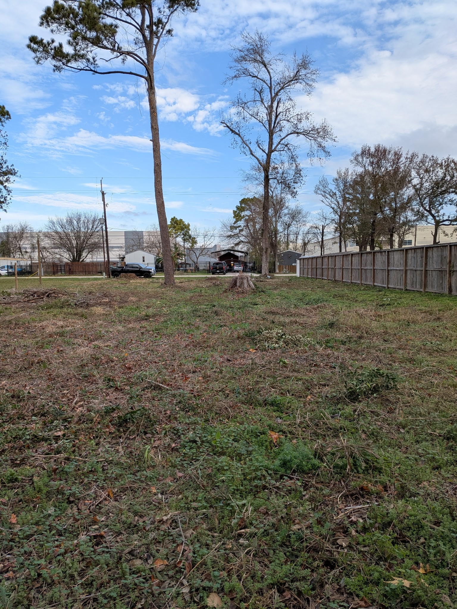 0 Grab Road Houston, TX 77032 - Photo 2 of 6 a view of a field with large trees
