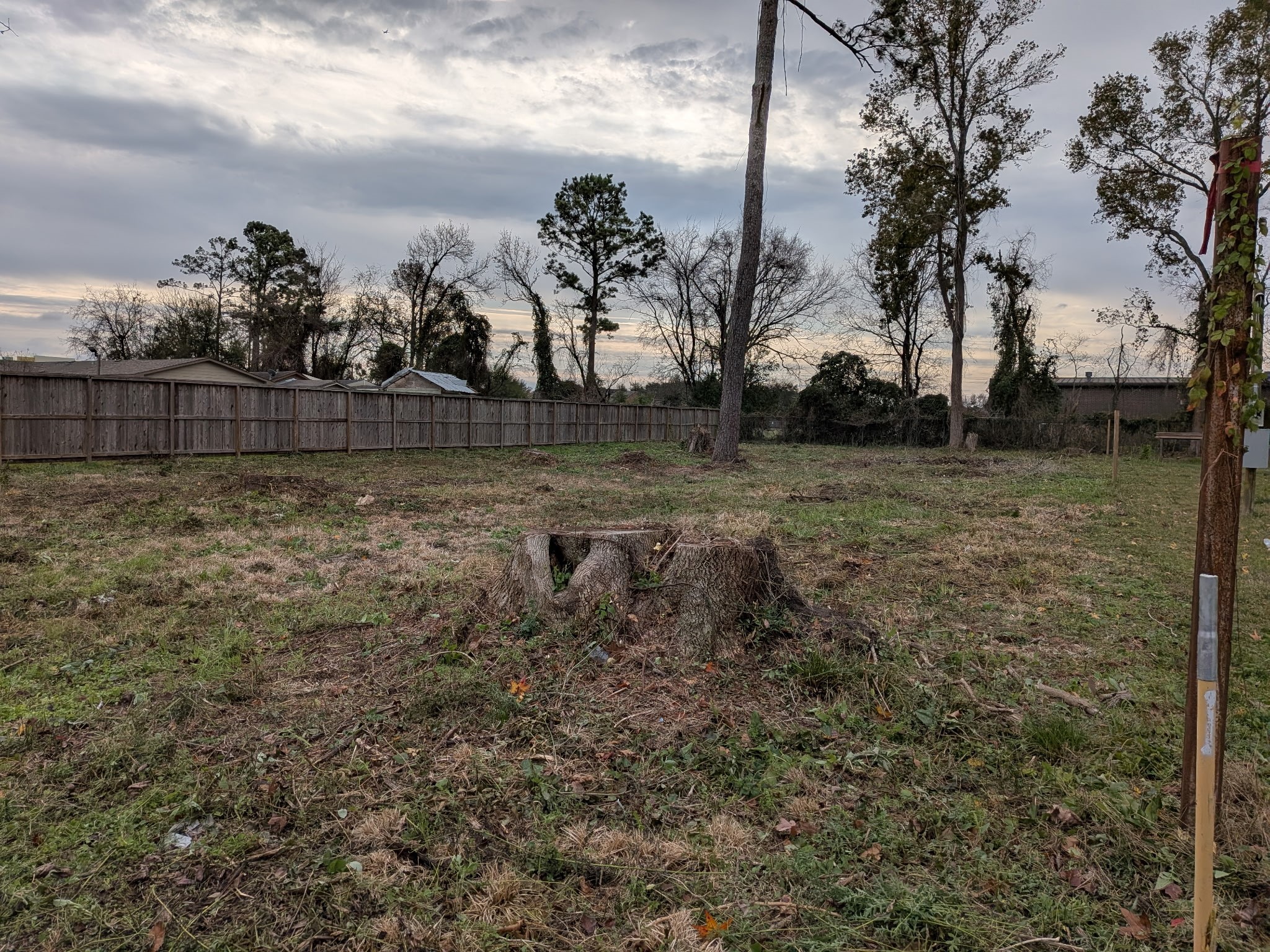 0 Grab Road Houston, TX 77032 - Photo 5 of 6 a view of a backyard