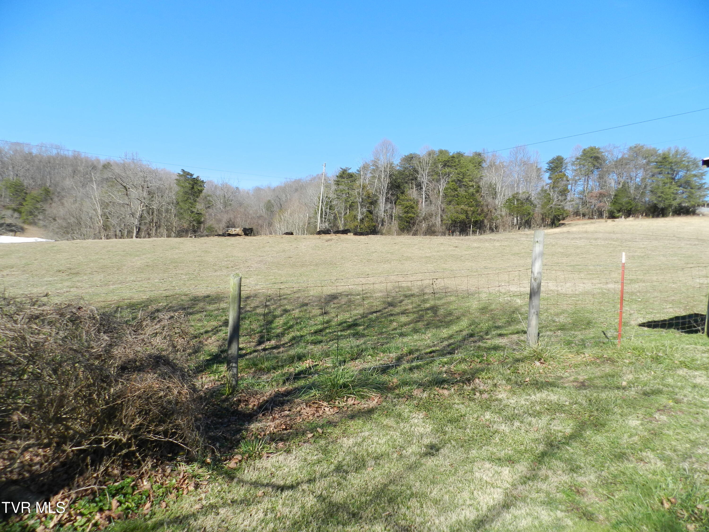 420 Watterson Gap Road Surgoinsville, TN 37873 - Photo 23 of 87 DSCN3630