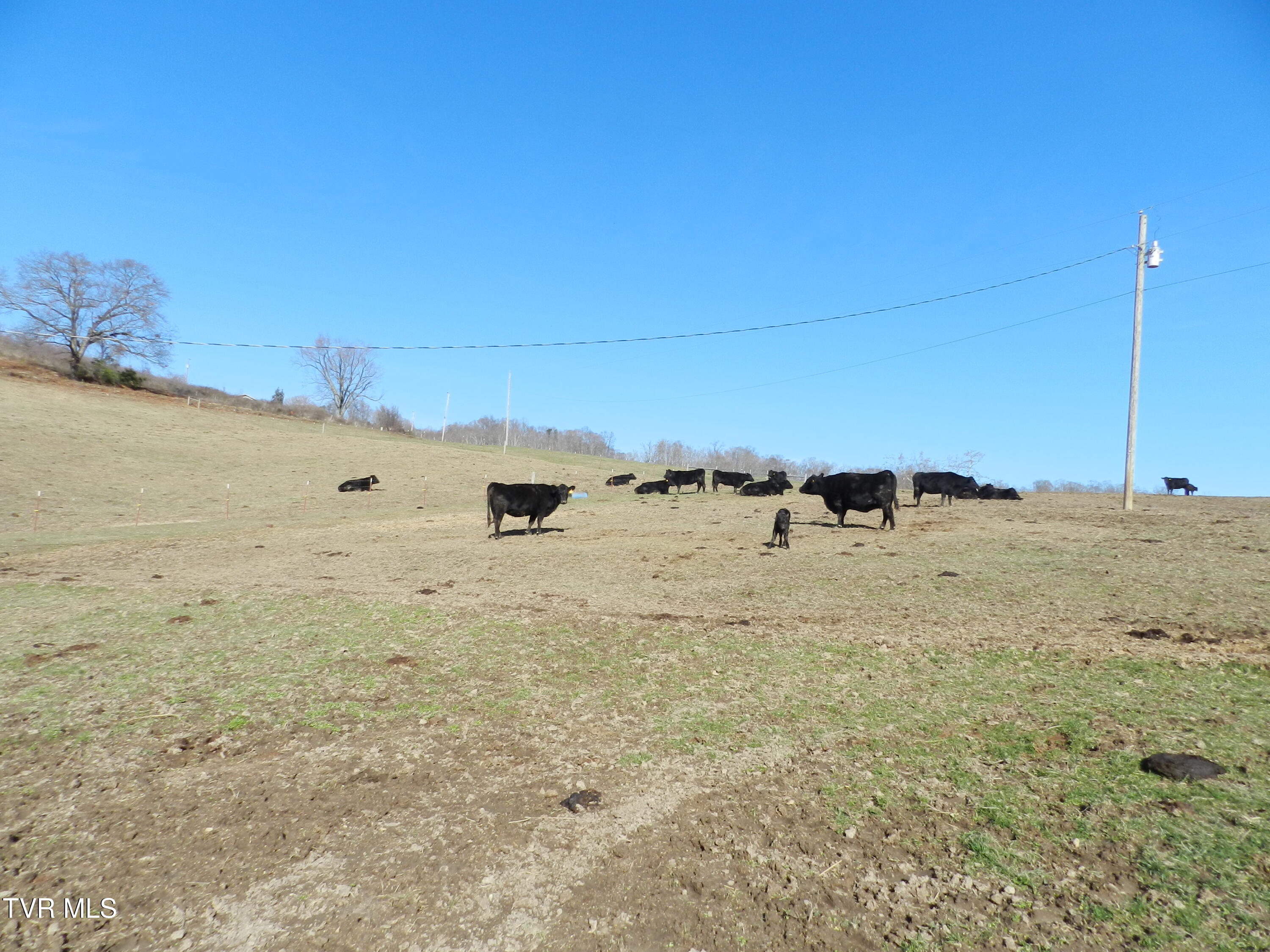 420 Watterson Gap Road Surgoinsville, TN 37873 - Photo 40 of 87 DSCN3648