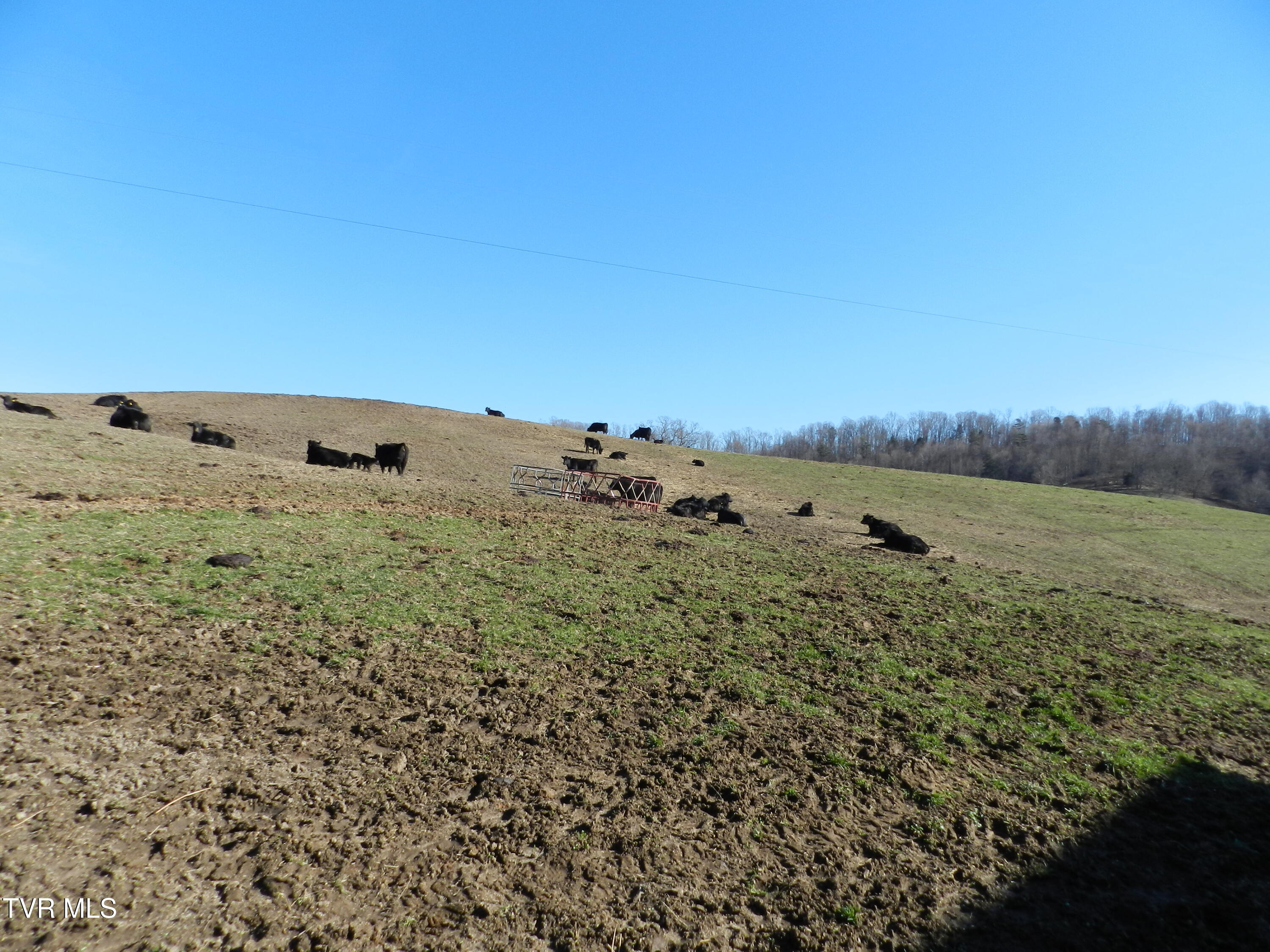420 Watterson Gap Road Surgoinsville, TN 37873 - Photo 41 of 87 DSCN3649