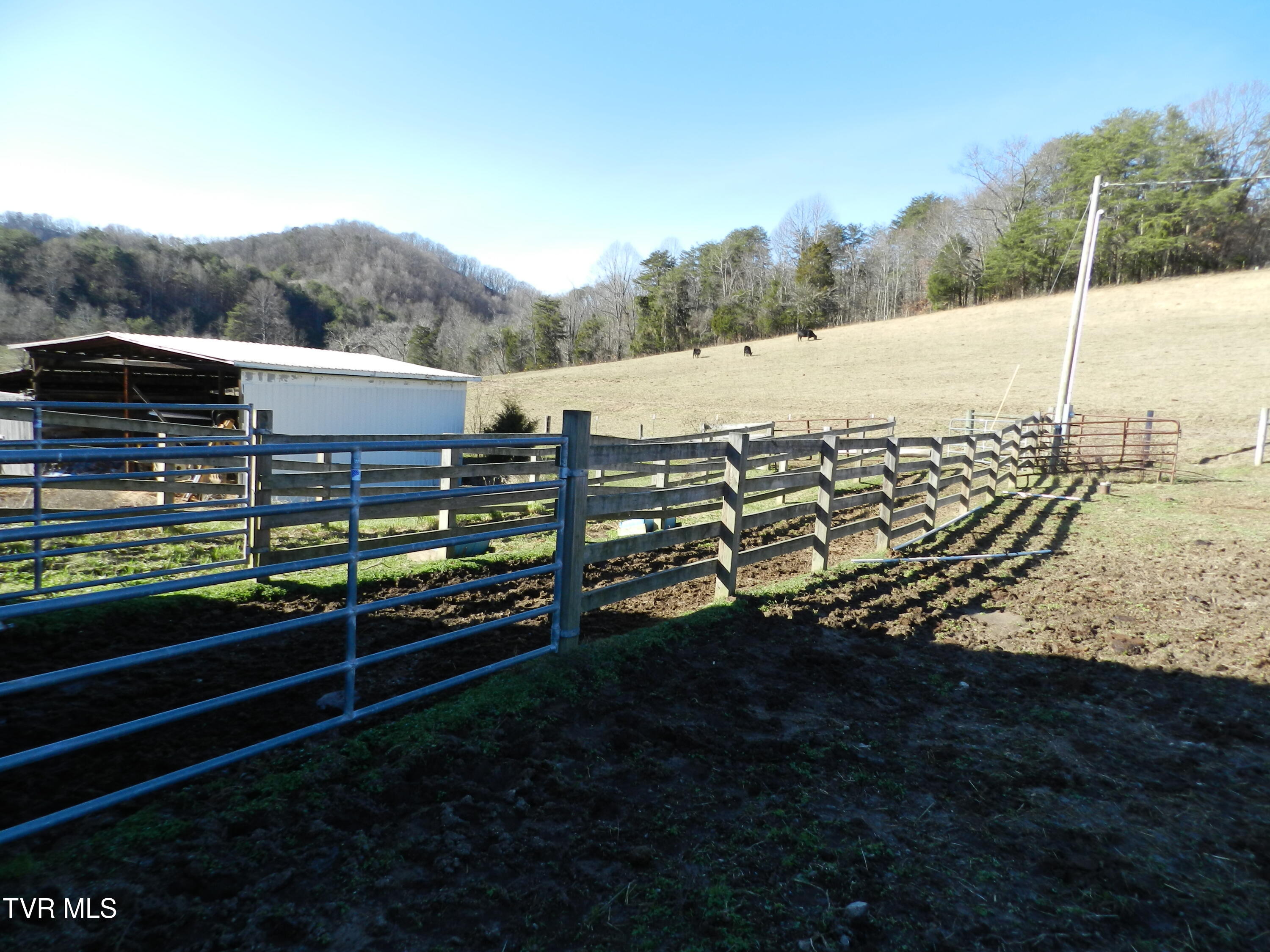 420 Watterson Gap Road Surgoinsville, TN 37873 - Photo 42 of 87 DSCN3650
