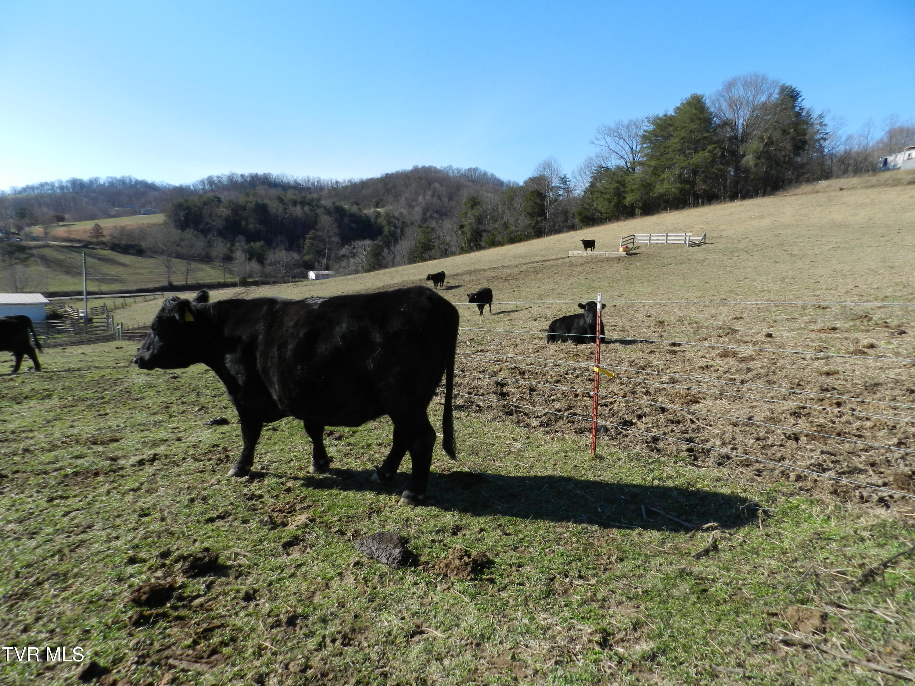 420 Watterson Gap Road Surgoinsville, TN 37873 - Photo 43 of 87 DSCN3651