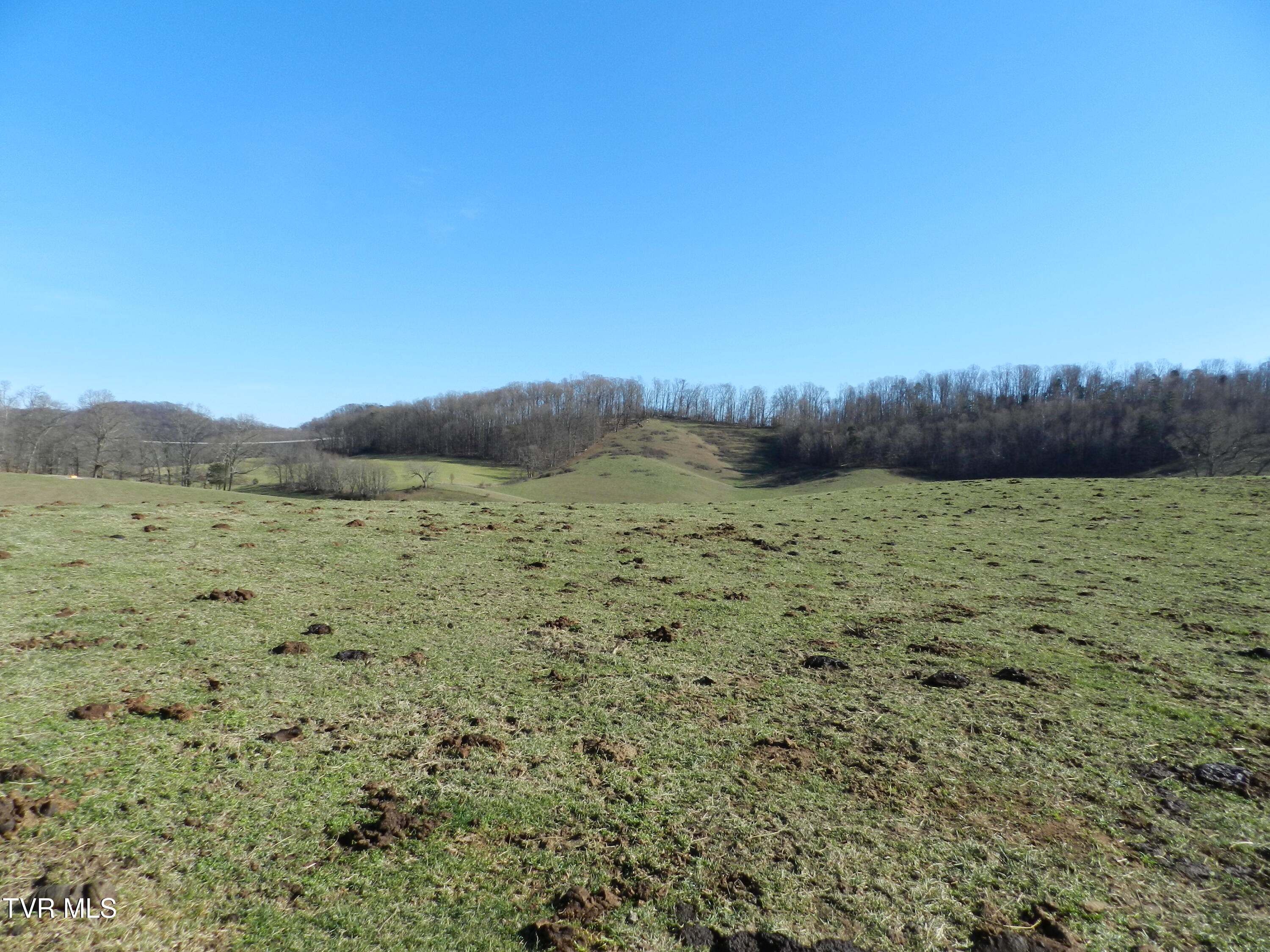 420 Watterson Gap Road Surgoinsville, TN 37873 - Photo 44 of 87 DSCN3652