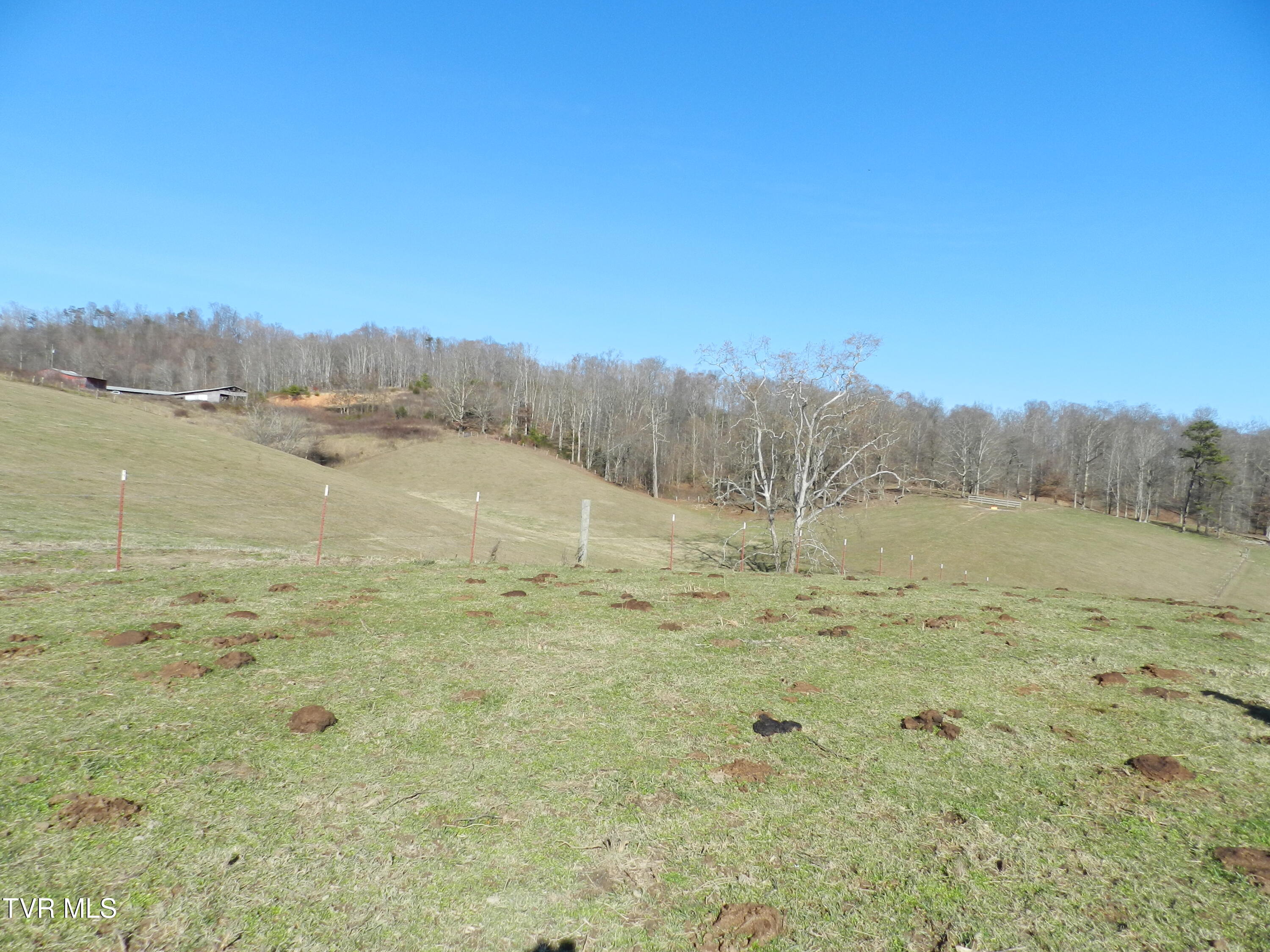 420 Watterson Gap Road Surgoinsville, TN 37873 - Photo 45 of 87 DSCN3653