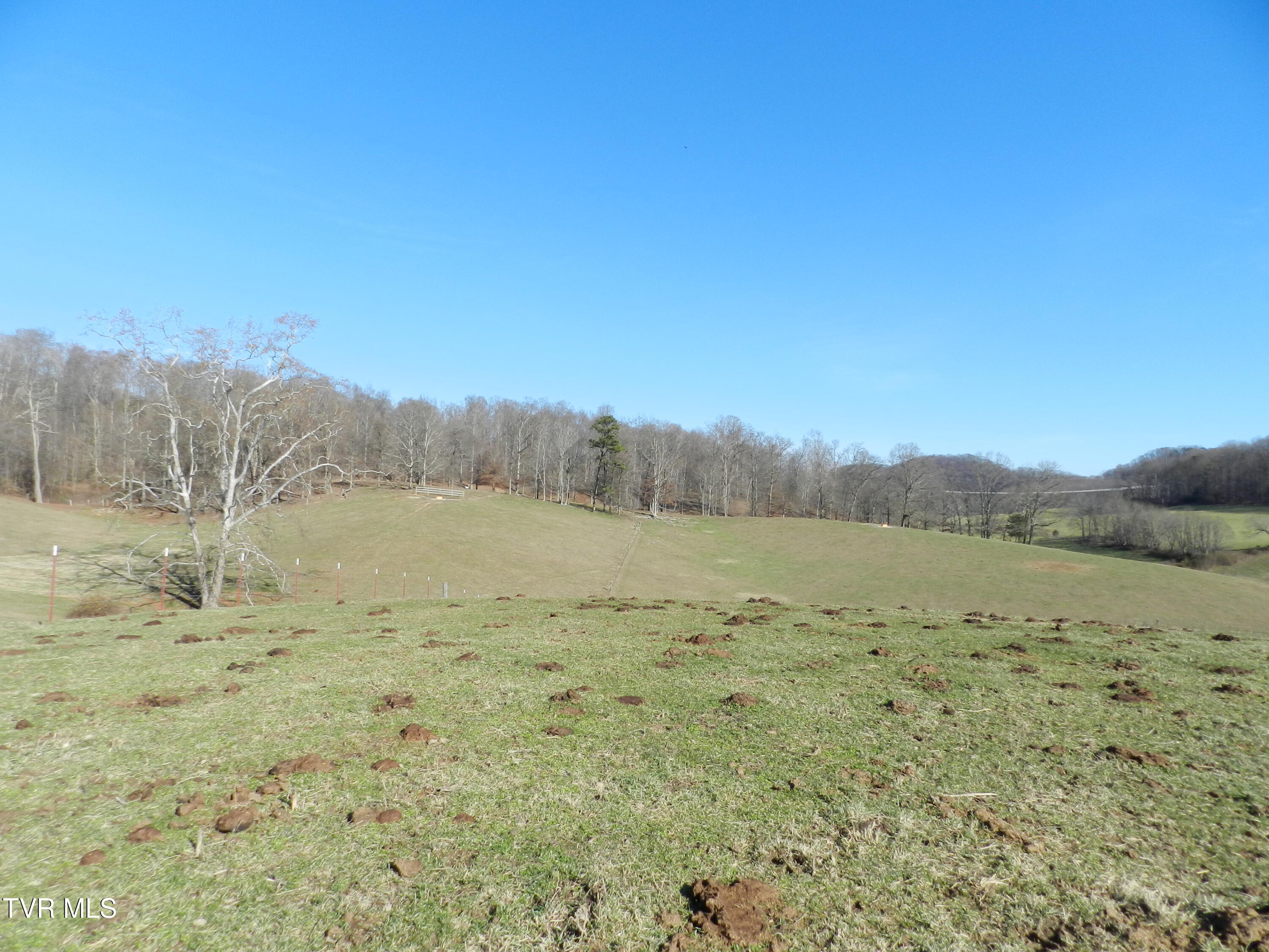 420 Watterson Gap Road Surgoinsville, TN 37873 - Photo 46 of 87 DSCN3654