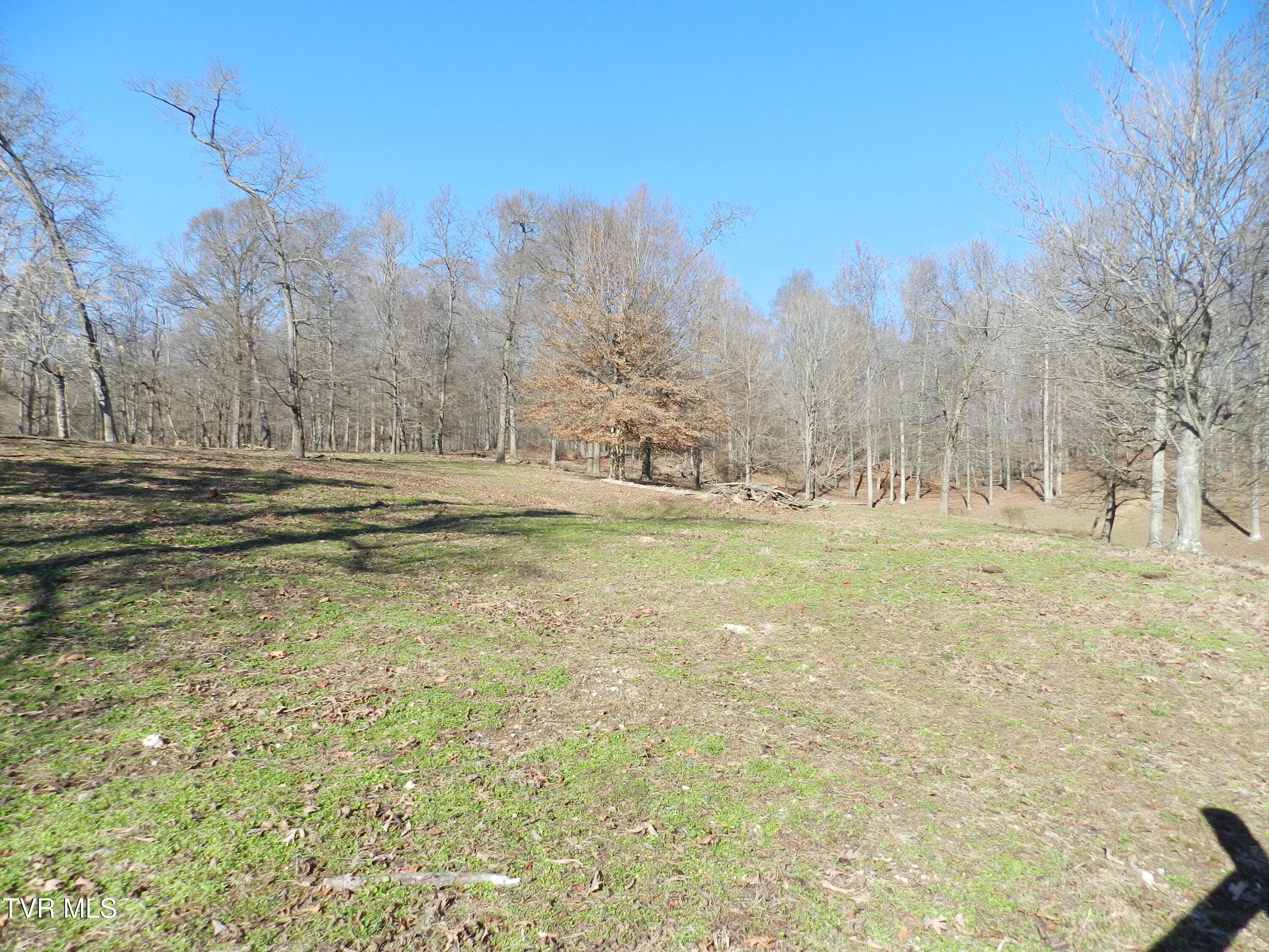 420 Watterson Gap Road Surgoinsville, TN 37873 - Photo 51 of 87 DSCN3659