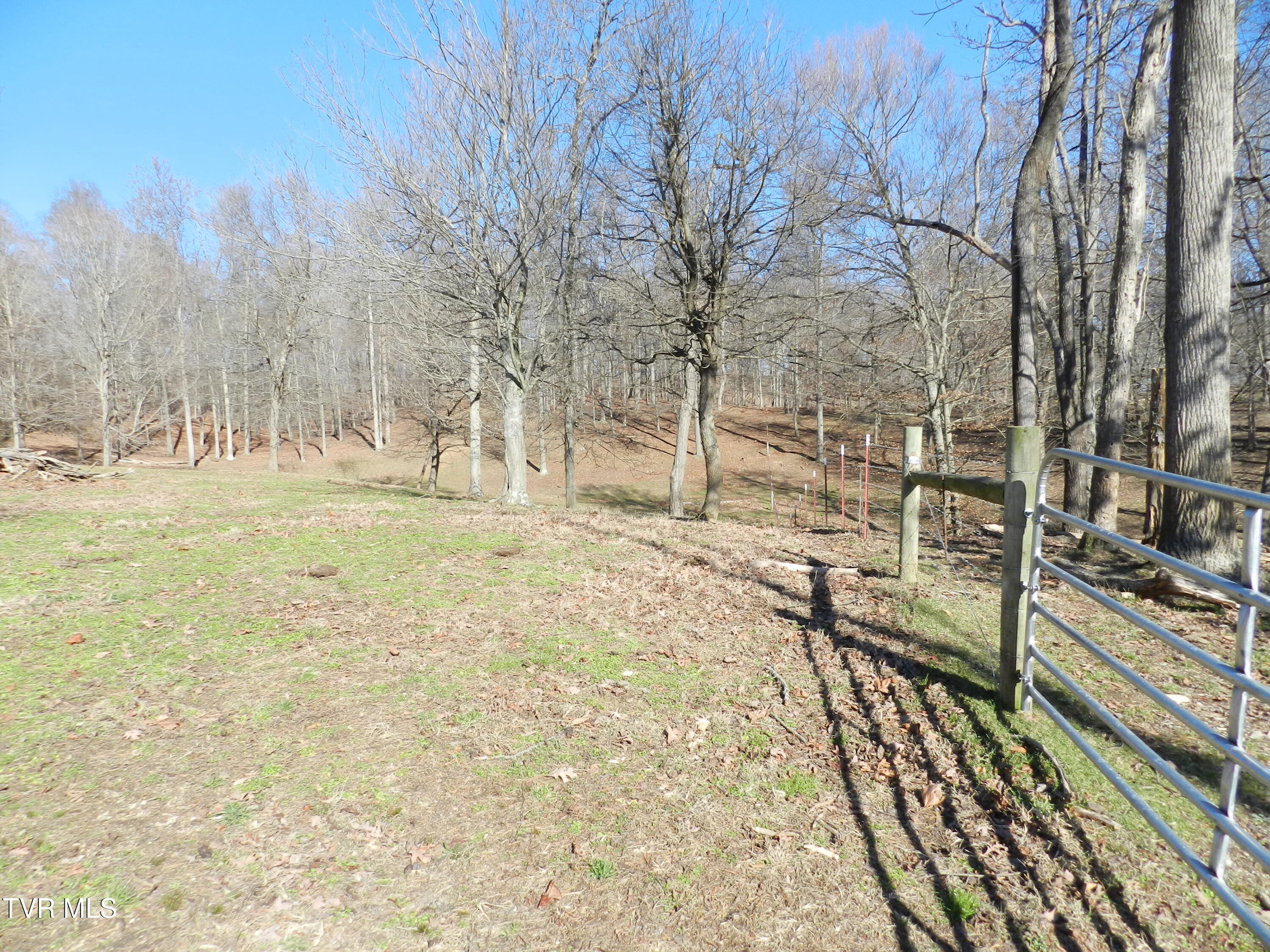 420 Watterson Gap Road Surgoinsville, TN 37873 - Photo 52 of 87 DSCN3660