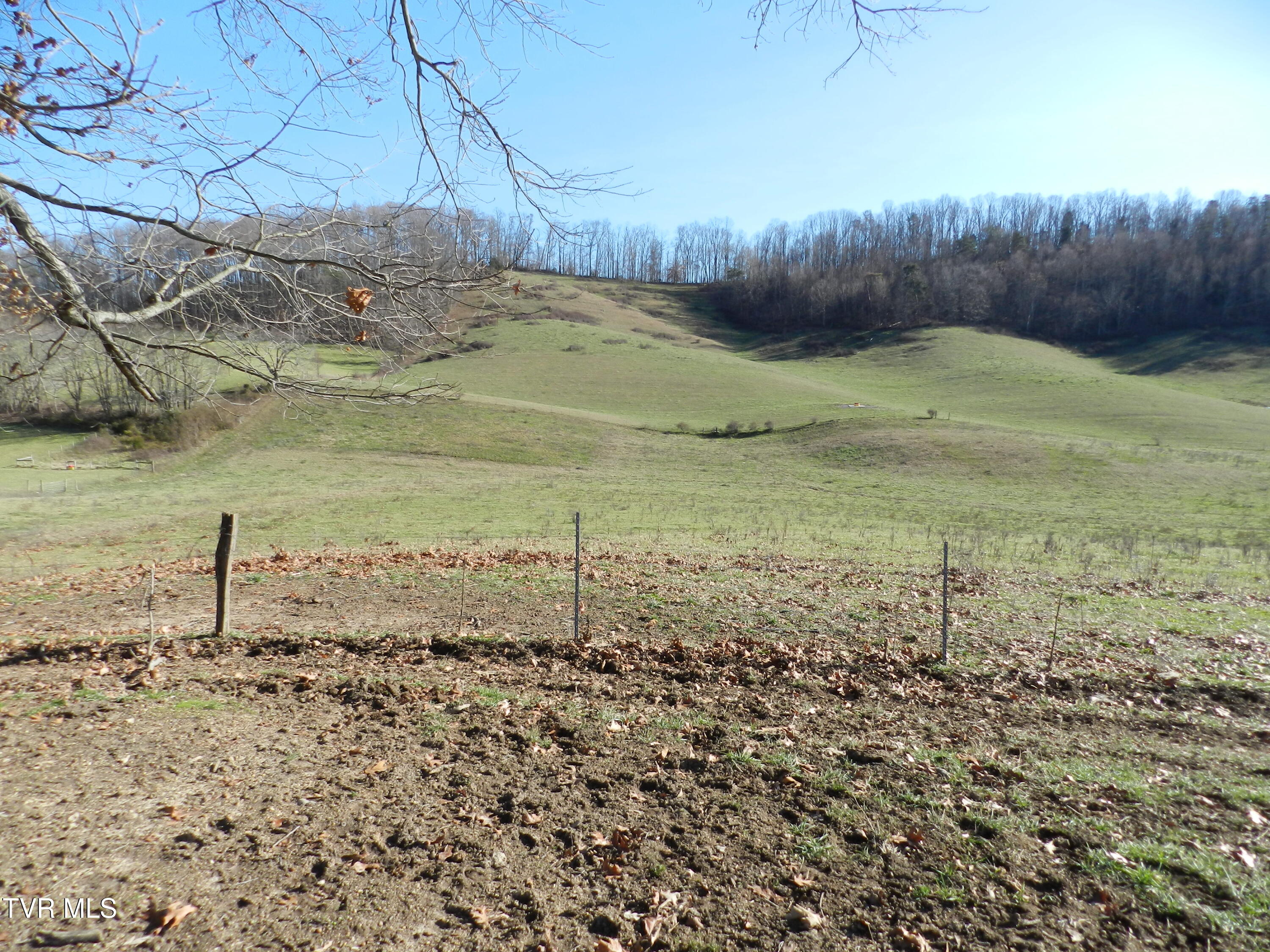 420 Watterson Gap Road Surgoinsville, TN 37873 - Photo 64 of 87 DSCN3672