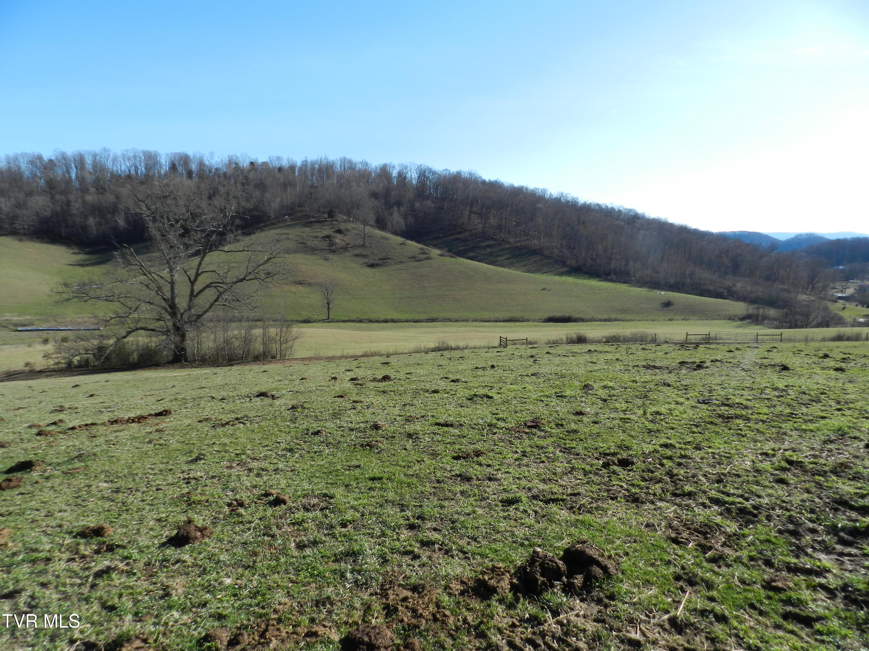 420 Watterson Gap Road Surgoinsville, TN 37873 - Photo 66 of 87 DSCN3675