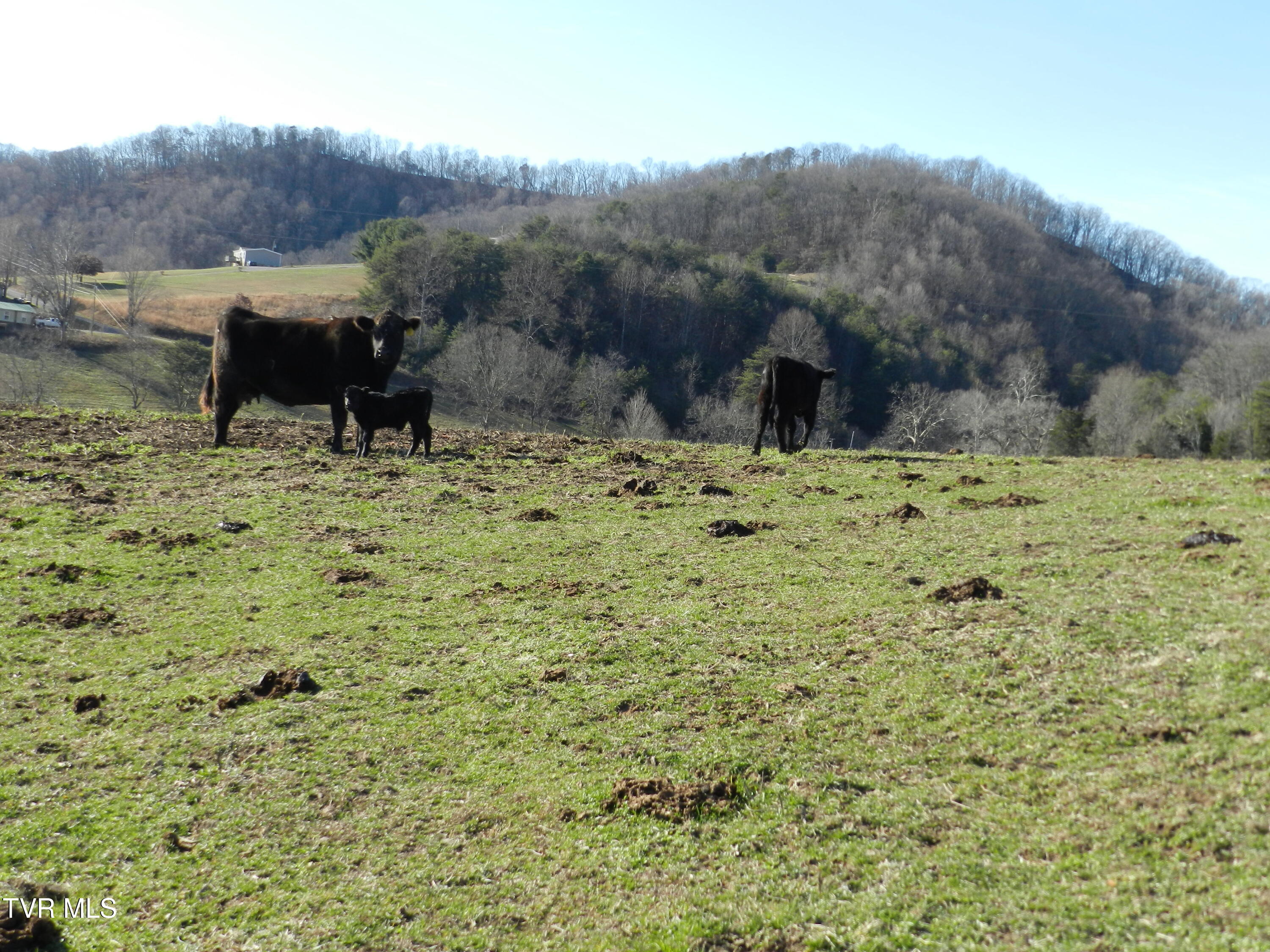 420 Watterson Gap Road Surgoinsville, TN 37873 - Photo 67 of 87 DSCN3676