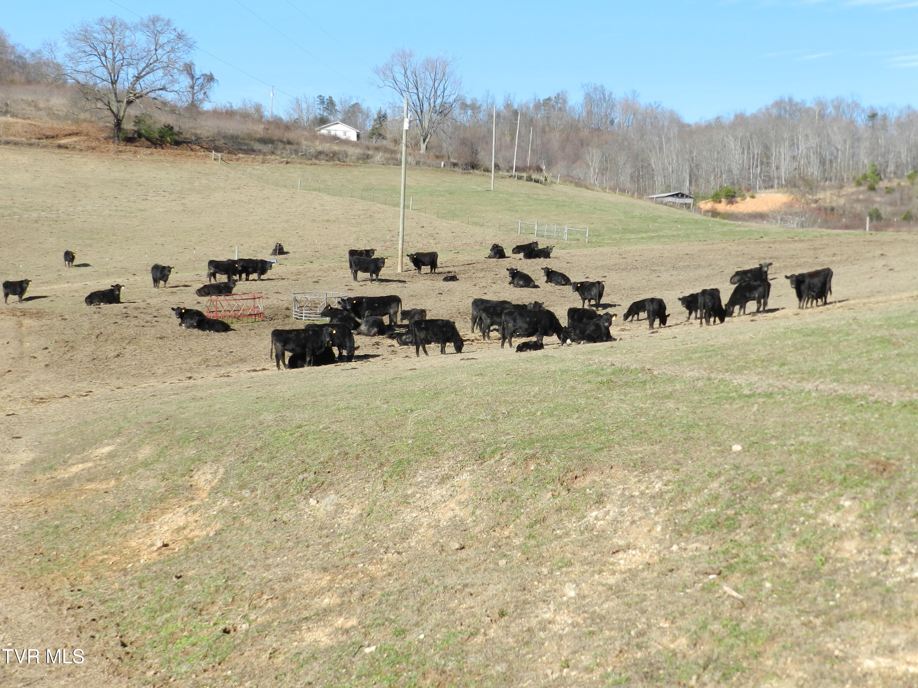 420 Watterson Gap Road Surgoinsville, TN 37873 - Photo 70 of 87 DSCN3679