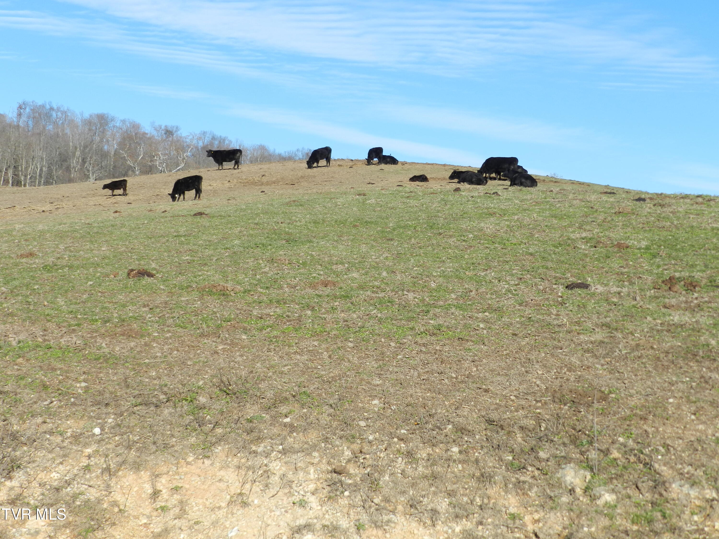 420 Watterson Gap Road Surgoinsville, TN 37873 - Photo 71 of 87 DSCN3680