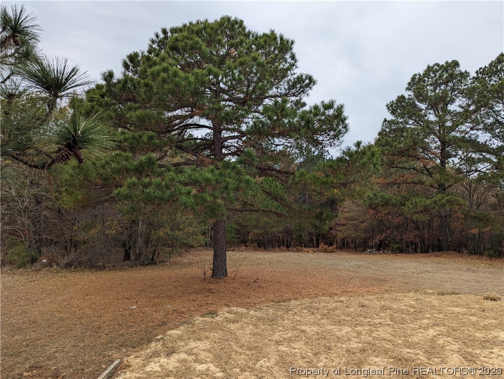 271 Eisler Drive Lillington, NC 27546 - Photo 16 of 17 a view of yard covered with snow