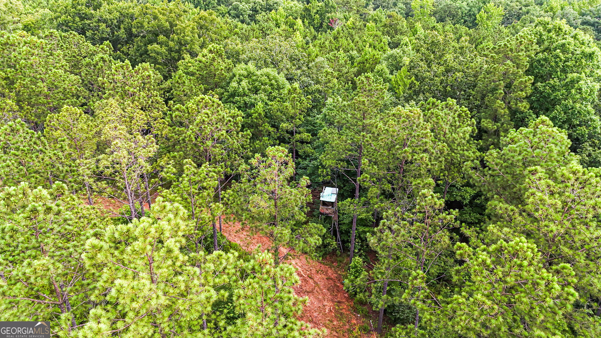 0 Howard Road Roberta, GA 31078 - Photo 4 of 14