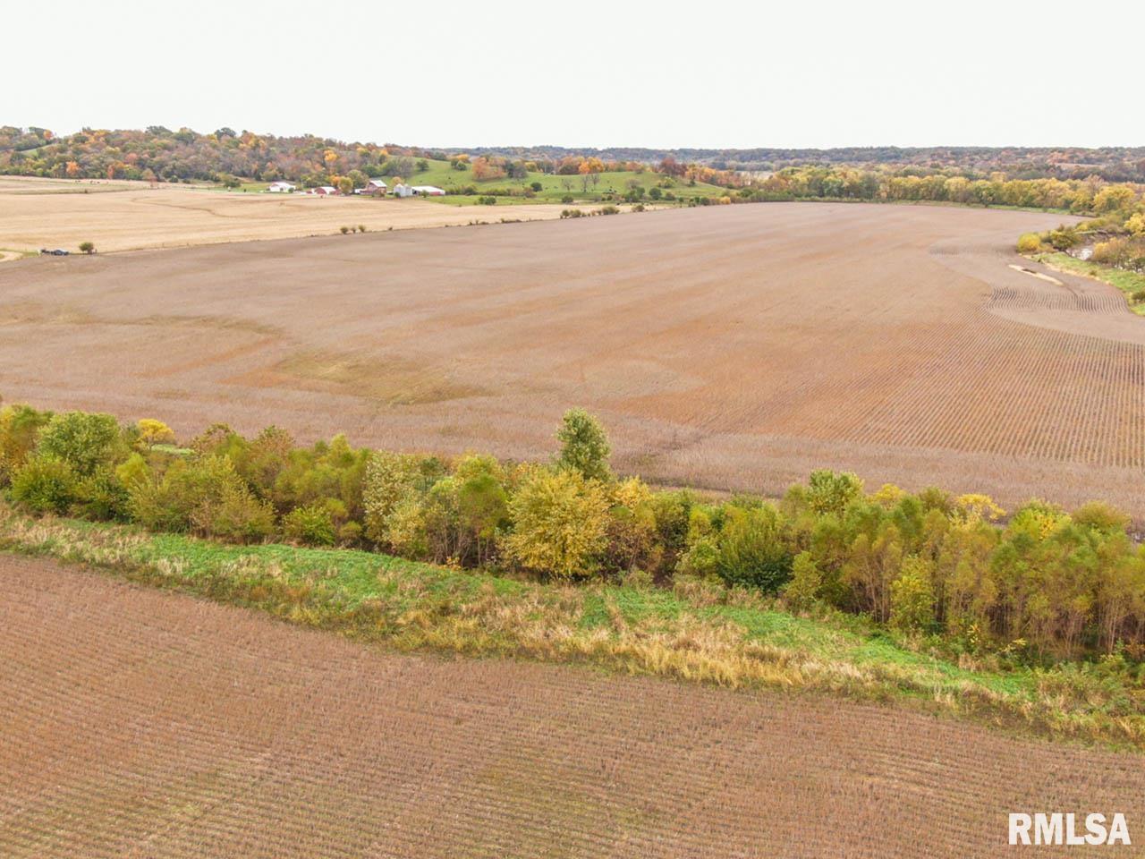 0 North Dairy Road Smithfield, IL 61477 - Photo 9 of 12
