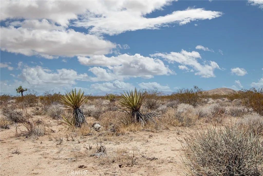 2000 Celeste Joshua Tree, CA 92252 - Photo 4 of 6 a view of a sky