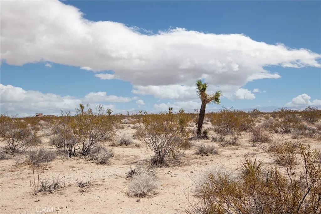 2000 Celeste Joshua Tree, CA 92252 - Photo 5 of 6 a view of a sky
