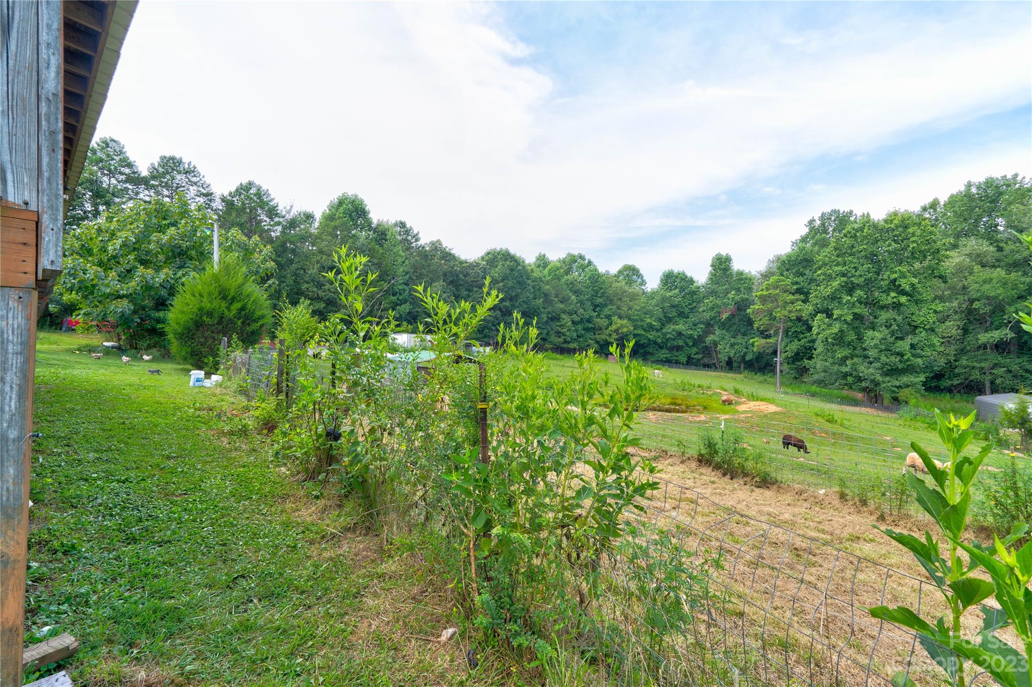 389 Shires Road Ellenboro, NC 28040 - Photo 6 of 30 a view of a garden with a lake view