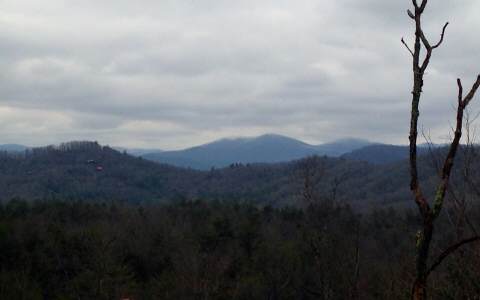 Lot 7 Stanley Creek Blue Ridge, GA 30513 - Photo 1 of 1 Main View