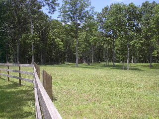 2210 Little Bend Road Signal Mountain, TN 37377 - Photo 2 of 9 Additional Photo