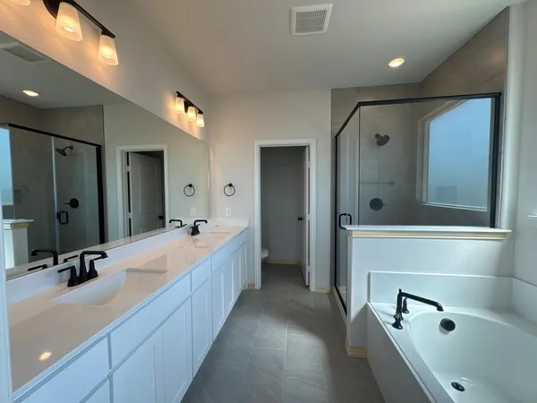 a bathroom with a tub a double vanity sink and mirror