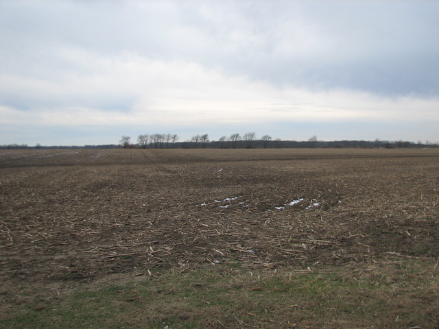 3065 South Gorman Road Gardner, IL 60424 - Photo 9 of 25 a view of an ocean beach