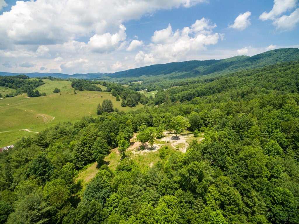 Lot 4 Gem Stream Road, Unit 4 Elk Creek, VA 24326 - Photo 29 of 33 Gallery Image 29