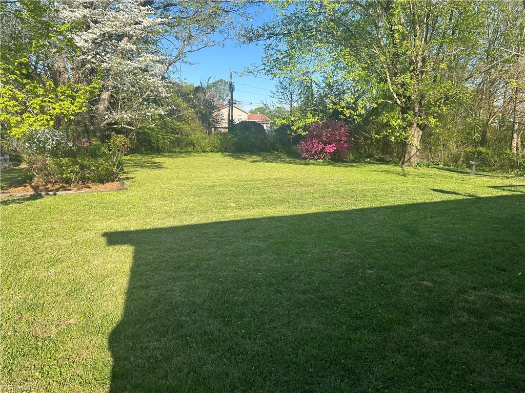 784 White Pines Country Club Road Mount Airy, NC 27030 - Photo 24 of 28