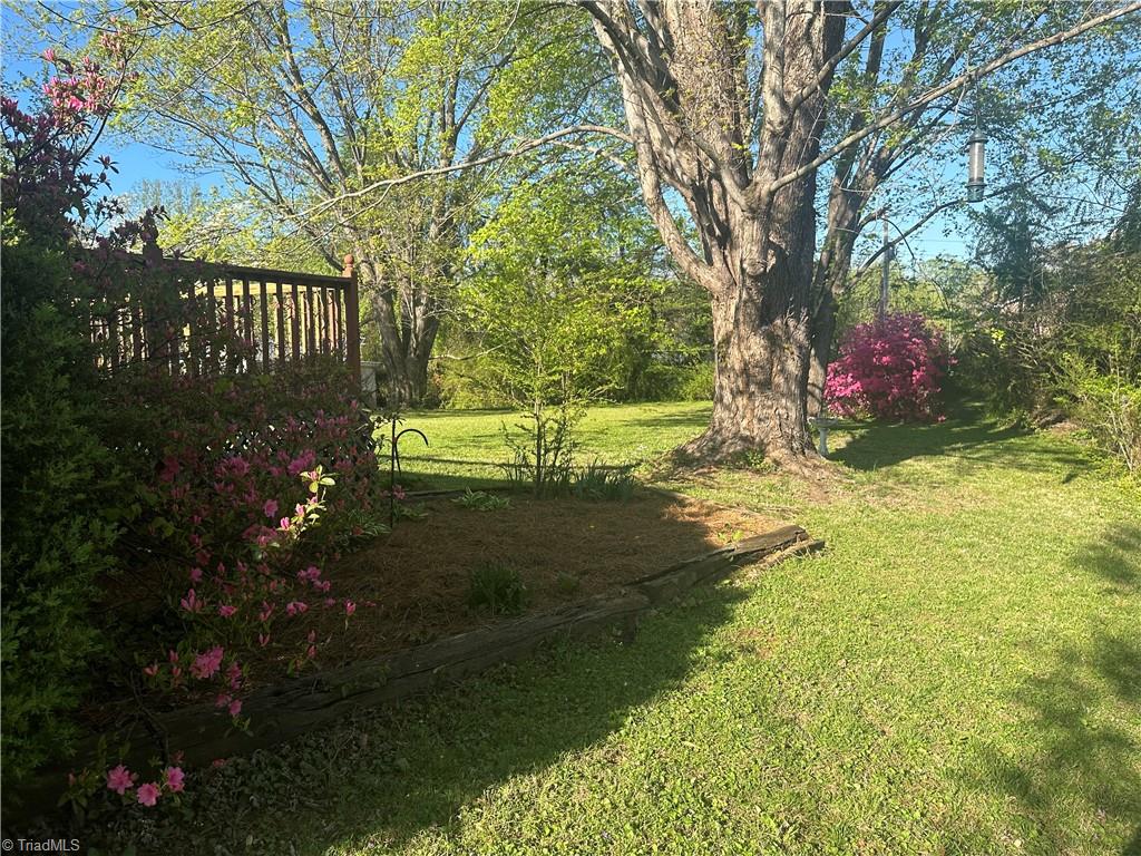 784 White Pines Country Club Road Mount Airy, NC 27030 - Photo 25 of 28