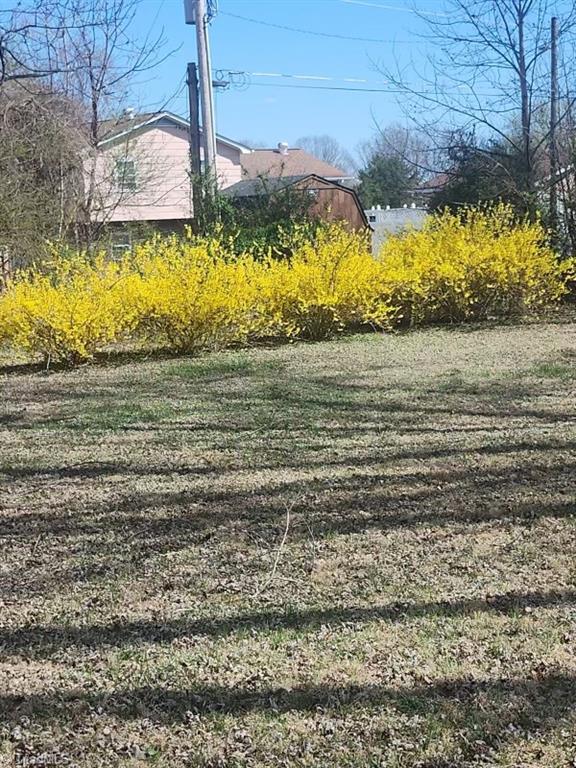 784 White Pines Country Club Road Mount Airy, NC 27030 - Photo 26 of 28