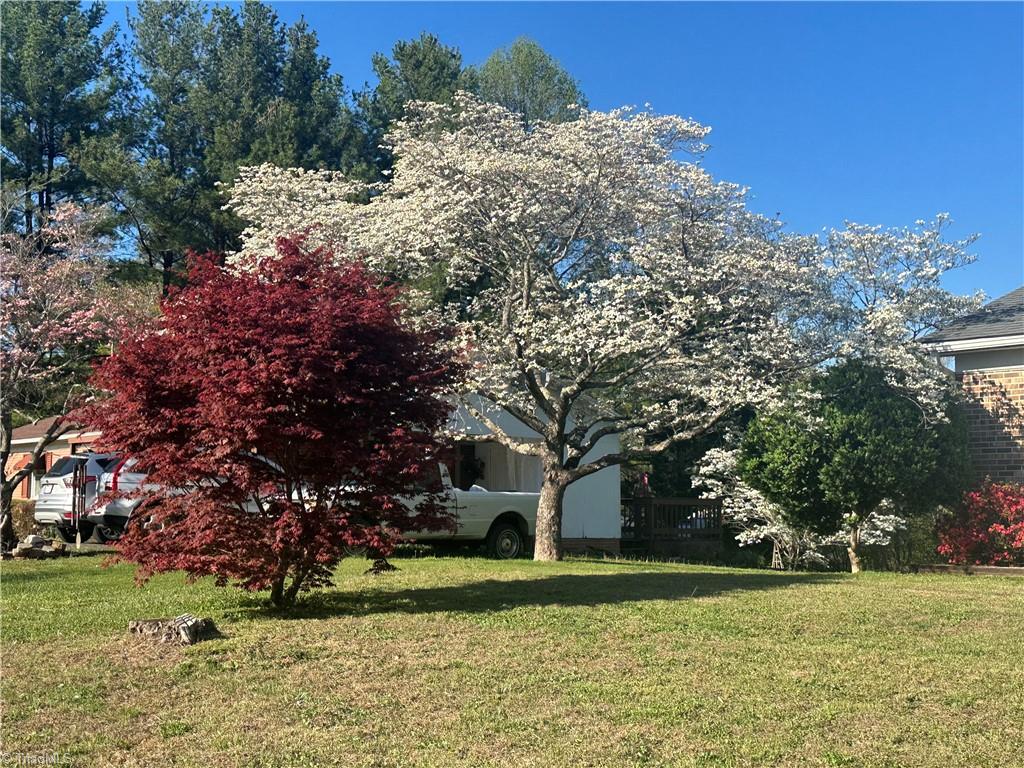 784 White Pines Country Club Road Mount Airy, NC 27030 - Photo 28 of 28