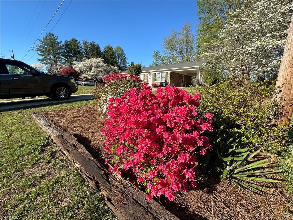 784 White Pines Country Club Road Mount Airy, NC 27030 - Photo 3 of 28