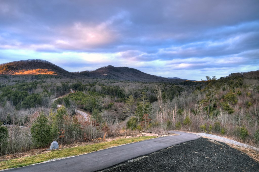 156 Coles Crossing Road Mineral Bluff, GA 30559 - Photo 96 of 97