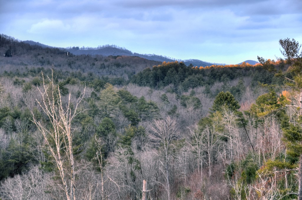 156 Coles Crossing Road Mineral Bluff, GA 30559 - Photo 97 of 97