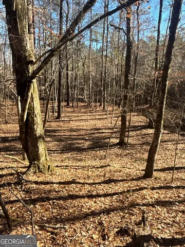 a view of a yard with plants and trees