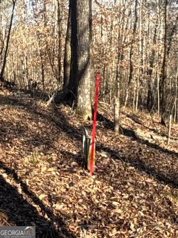 a view of a yard with water fountain and large tree