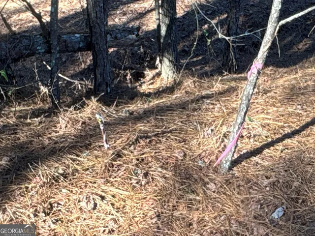 a view of a yard with pool