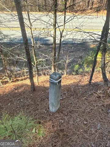 $219,000 | 0 Geneva Highway, Talbotton, GA 31827