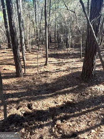 a view of a yard with trees