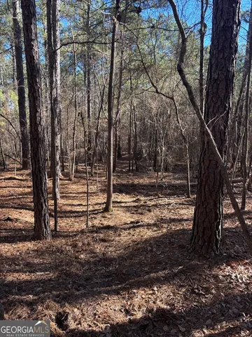 a view of a yard with trees