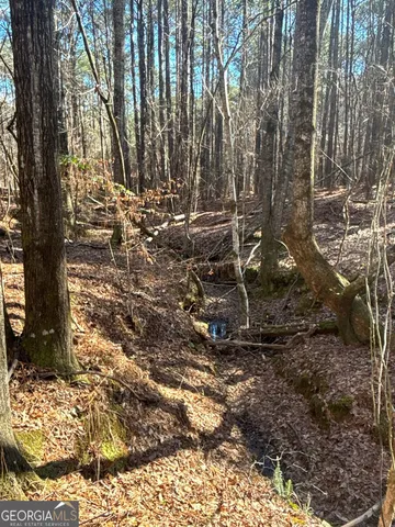 a view of a yard with wooden fence