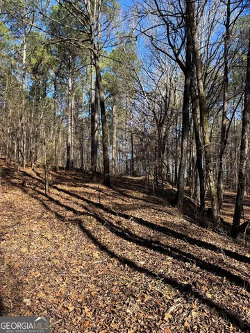 a view of a garden with large trees