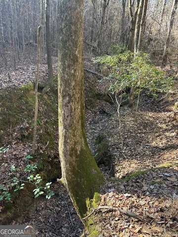 a view of yard with tree