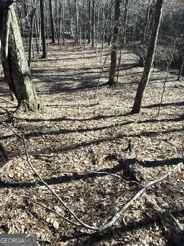 a flag is covered with tall trees