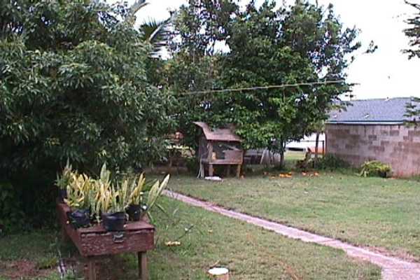 277 Hookipa Road Kapaa, HI 96746 - Photo 4 of 12 a backyard of a house with table and chairs